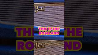 Video thumbnail for A 2x12 from Bartel Amps??!! 😱 #guitaramp #guitaramplifier #bartelamps #guitargear by Chuck Levin's Washington Music Center