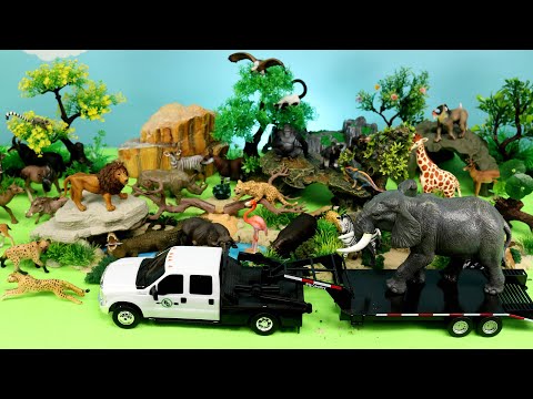 Amazing African Animal Figurines Collection - Learn Animal Names and Facts