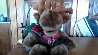 Grandma got ran over by Reindeer