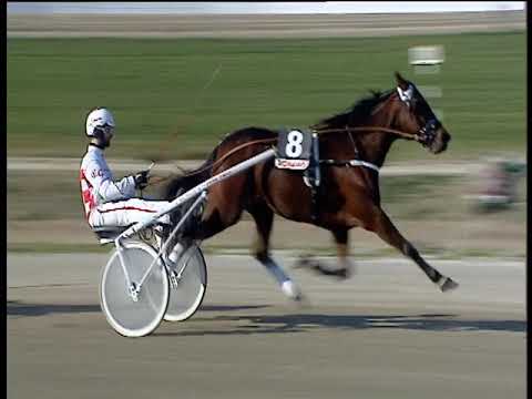 Trotto 03/03/2019 - 2ª corsa