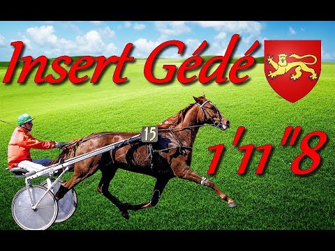 HOMMAGE A INSERT GÉDÉ