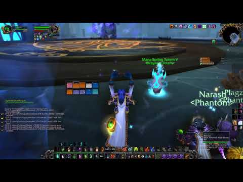 World of Warcraft: The Burning Crusade Classic - Netherspite Boss Fight