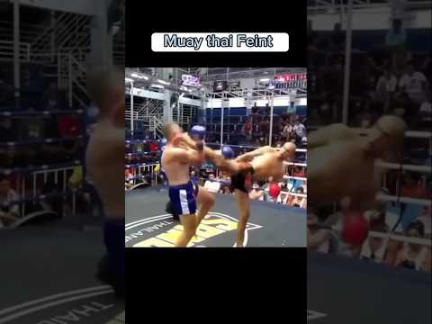 Muay thai Feint + Side kick #muaythai #martialarts #mma