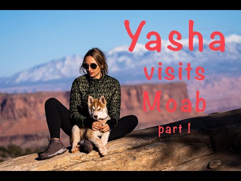 Yasha Hiking In Moab Utah