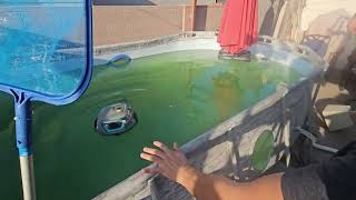 Clorox Pool & Spa Shock XTRABLUE