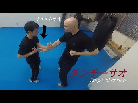 ダンチーサオ 詠春拳　(danchisao drill, wing chun Tokyo, martial art)