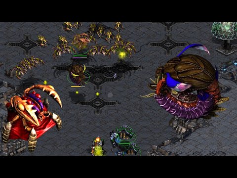 Flash vs QUEEN / DEVOURER !?!?!?!?