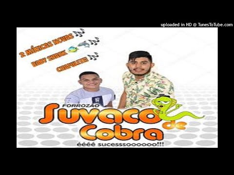 FORROZAO SUVACO DE COBRA 2 MUSICAS NOVAS 2019