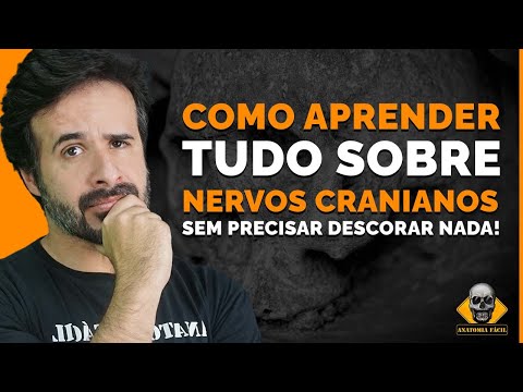 HOW TO LEARN EVERYTHING ABOUT CRANIAL NERVES WITHOUT HAVING TO BLEACH ANYTHING!