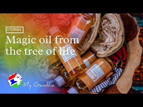 Magic oil from the tree of life, Khadija Baobab Oil | My Gambia | My Magazine