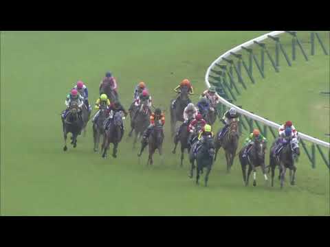 2018 Victoria Mile (G1)