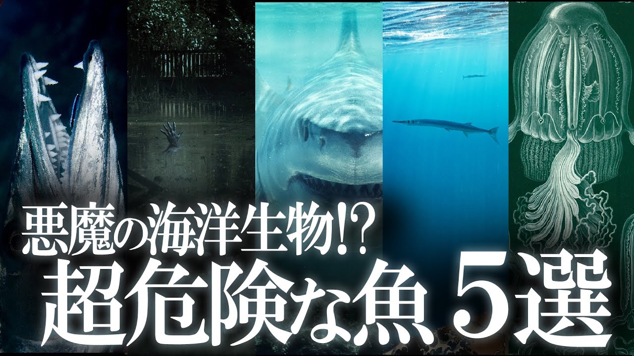 悪魔の海洋生物！？超危険な魚5選！