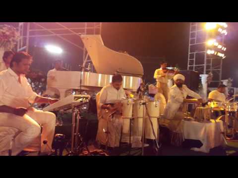 Vaibhav Pewal Vaibhav Pewal - White Theme Band...