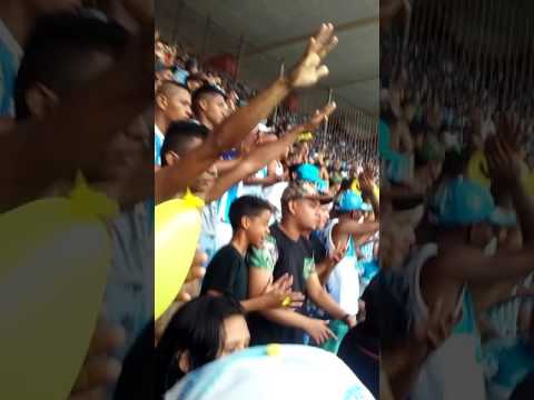 Tutb : vamos pra cima papão