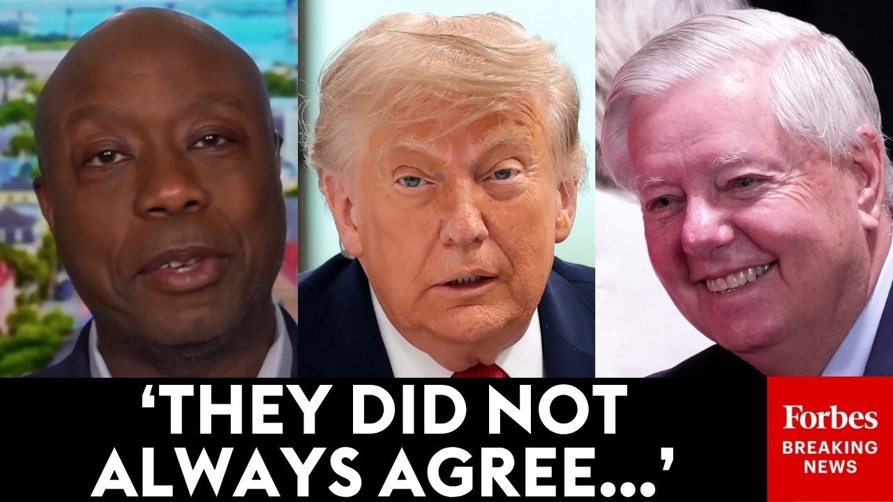 Video: Tim Scott discusses Lindsey Graham's evolution from Trump critic to ally