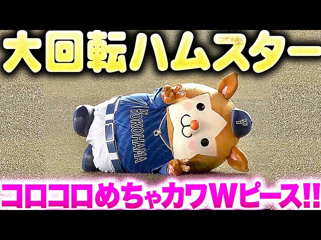 【大回転ハムスター】DB.スターマン『猛然ダッシュ → コロコロめちゃカワWピース！』