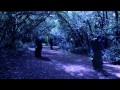 Hemmingbirds - My Love, Our Time is Now ...