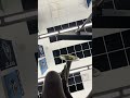 Mello pov let’s go