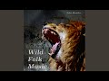 Wild Folk Music