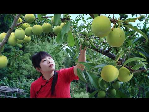 【二米炊烟】Peas 一顆豌豆的千萬種變化，能從冬天吃到夏天