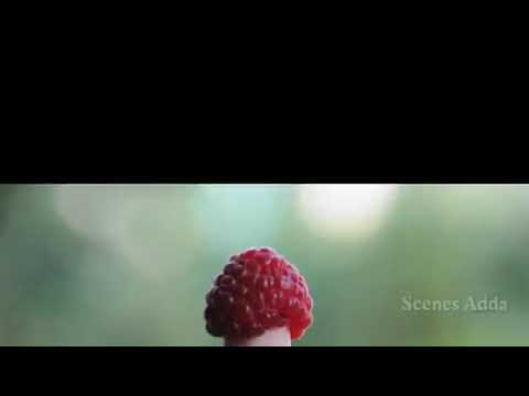 Mario James Malcolm . come