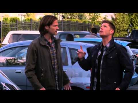 Supernatural Season 09 x 05 Dean vs the Pigeon