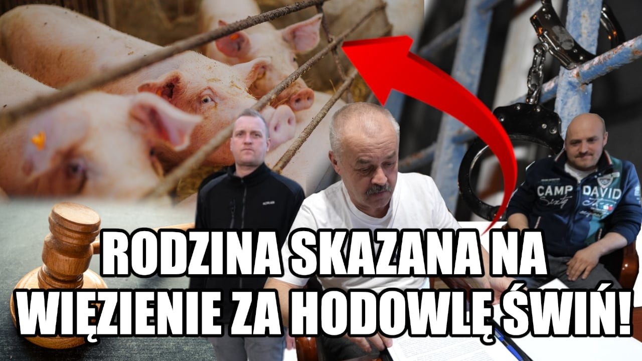 Rozstrzelać bandyckie , okupacyjne państwo bezprawia !