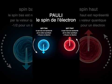 The Pauli electron spin #physics #science #scienceeducation