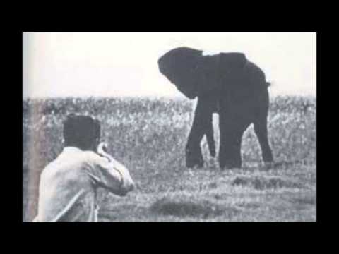 George Orwell Shooting Elephants