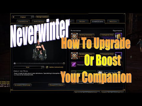 Neverwinter How Or Ways To {Upgrade, Boost And Level Up Your Companion}