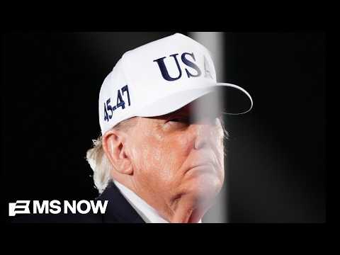 'Pattern of intimidation': Dems SUE to stop Trump from threatening midterms