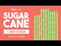 Mumbo Jumbo - Sugarcane (elybeatmaker Remix) [1 HOUR VERSION]