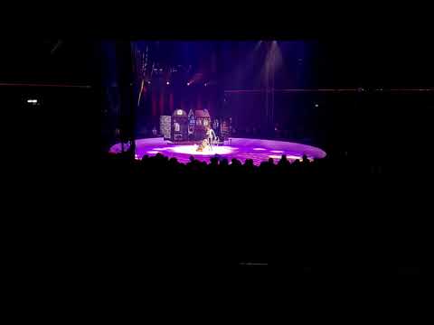 Rosi HOCHEGGER & ses chiens au cirque de Noël à Arras