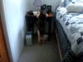 Autumn Dancing To Bek Phillips