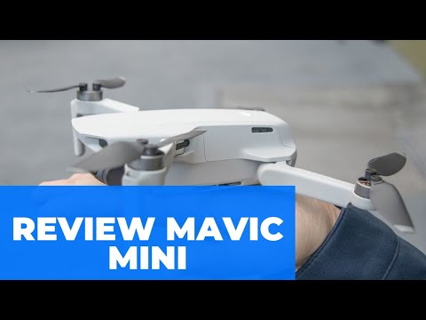 Review DJI Mavic Mini - Drone FlyCam Quadcopter UAV with 2.7K Camera (2020)