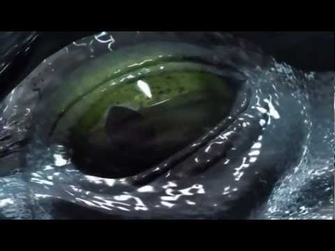 "Summer of Sonic" Trailer