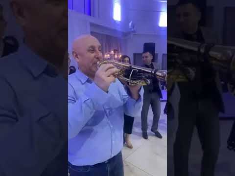 Orkestar Nema Dalje - Punoletstvo u Beču - 27.01.2024. godine.