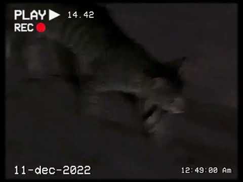 ‘sit down beside me’ by patrick watson