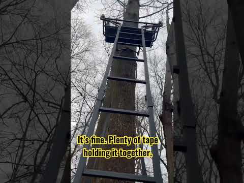 You don’t need straps on your ladder stands.