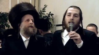 זישי גרין והאחים מופיעים בחתונת האחיות
