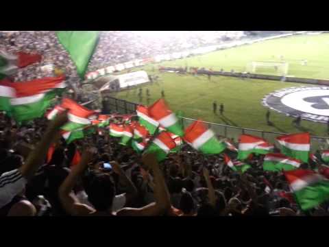 Torcida do Fluminense - Fluminense 1 x 0 Caracas   18/04/2013