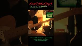 Counting Crows ~ Goodnight Elisabeth ~ (guitar solo)