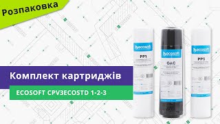 Ecosoft Комплект картриджей 1-2-3 (CPV3ECOSTD) - відео 1