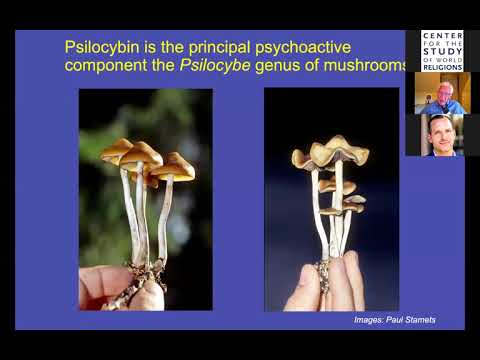 Psilocybin & Mystical Experience: Implications for Healthy Psychological Functioning & Spirituality