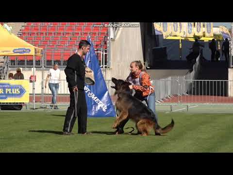 1504 Endrefalva Natan - TSB BSZS-2023 - vorhanden läßt ab