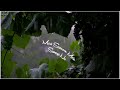 Mohabbat Barsa Dena Tu Sawan Aaya Hai Song Whatsapp Status New Romantic Song Status