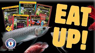 Why Fish Keepers Trust San Francisco Bay Brand Fish Frozen Foods