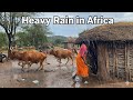 Heavy Rain In An African Traditional Homestead Homemade Goats Soup For This Cold Weather
