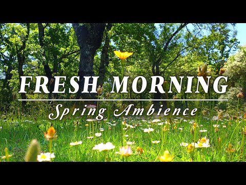 🌿🌞Begin Your Day with the POSITIVE ENERGY of Healing Spring Sounds🌿Fresh Morning Ambience Meditation