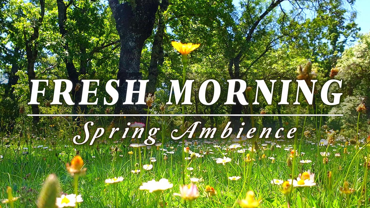 🌿🌞Begin Your Day with the POSITIVE ENERGY of Healing Spring Sounds🌿Fresh Morning Ambience Meditation